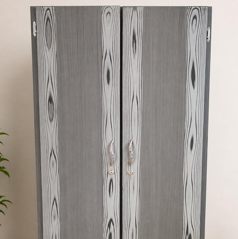CLÓSET 2 PUERTAS
